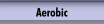 Aerobic